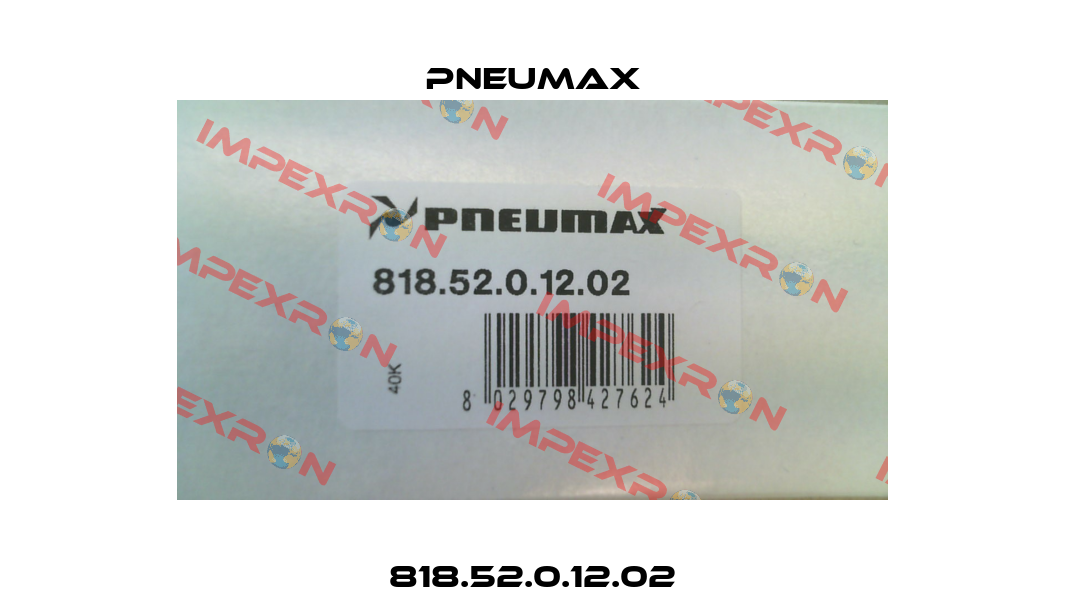 818.52.0.12.02 Pneumax