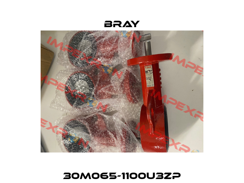 30M065-1100U3ZP Bray