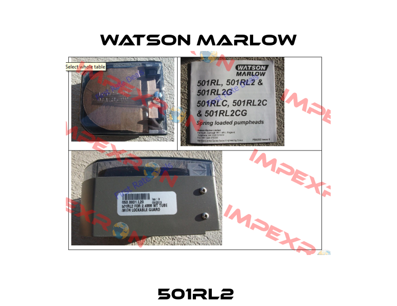 501RL2  Watson Marlow