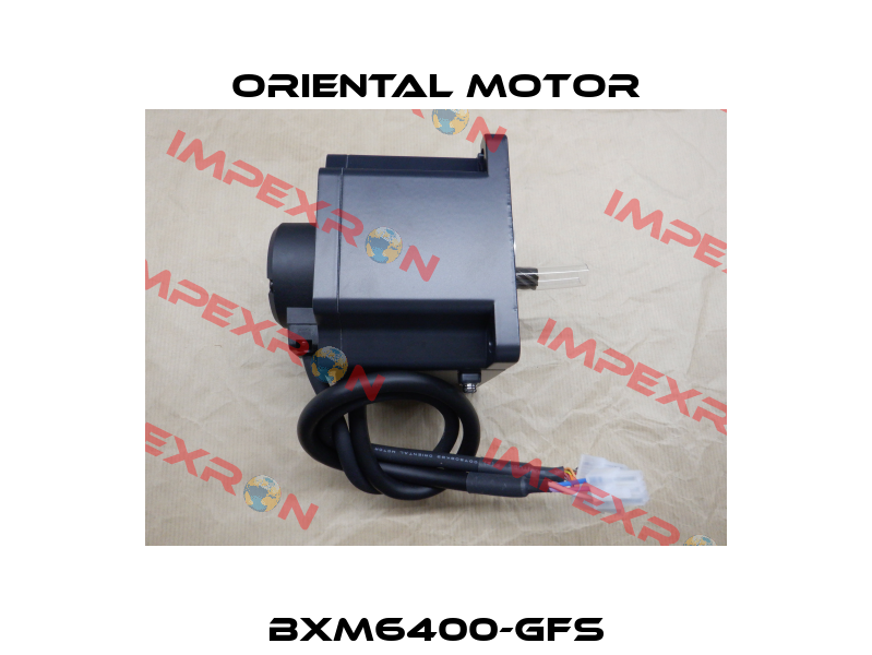 BXM6400-GFS Oriental Motor