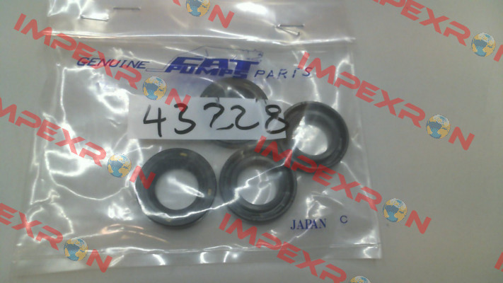 43228 Cat Pumps
