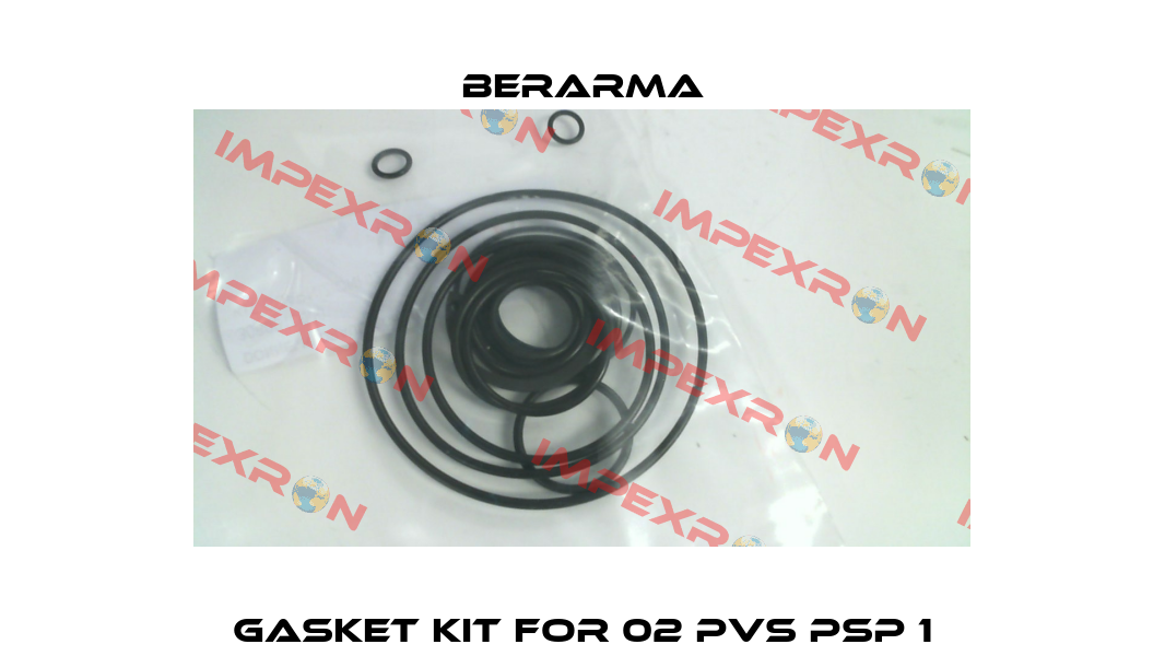 Gasket kit for 02 PVS PSP 1 Berarma