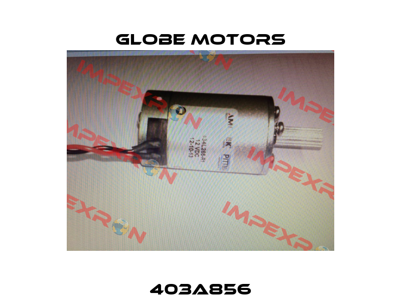 403A856 Globe Motors