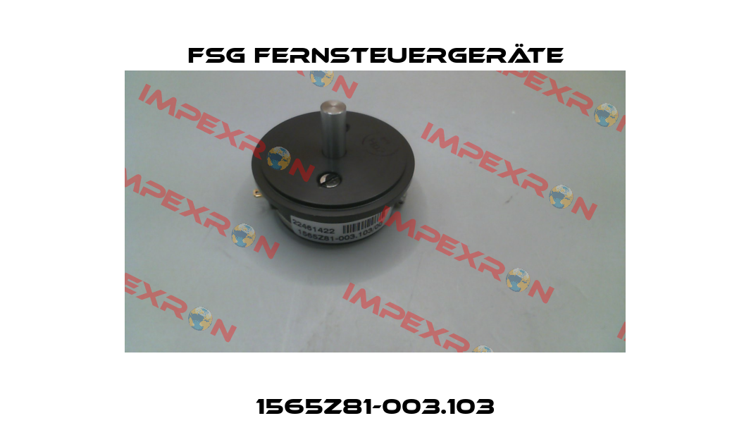 1565Z81-003.103 FSG Fernsteuergeräte