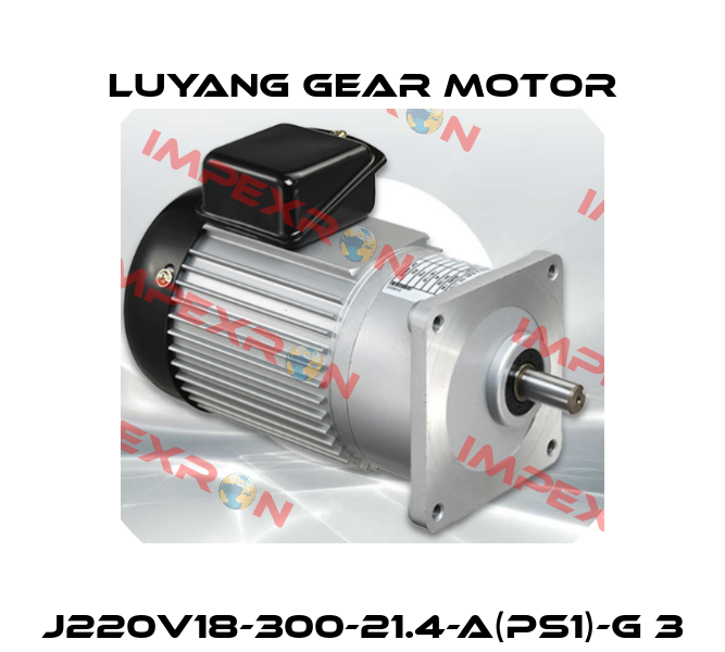 J220V18-300-21.4-A(PS1)-G 3 Luyang Gear Motor