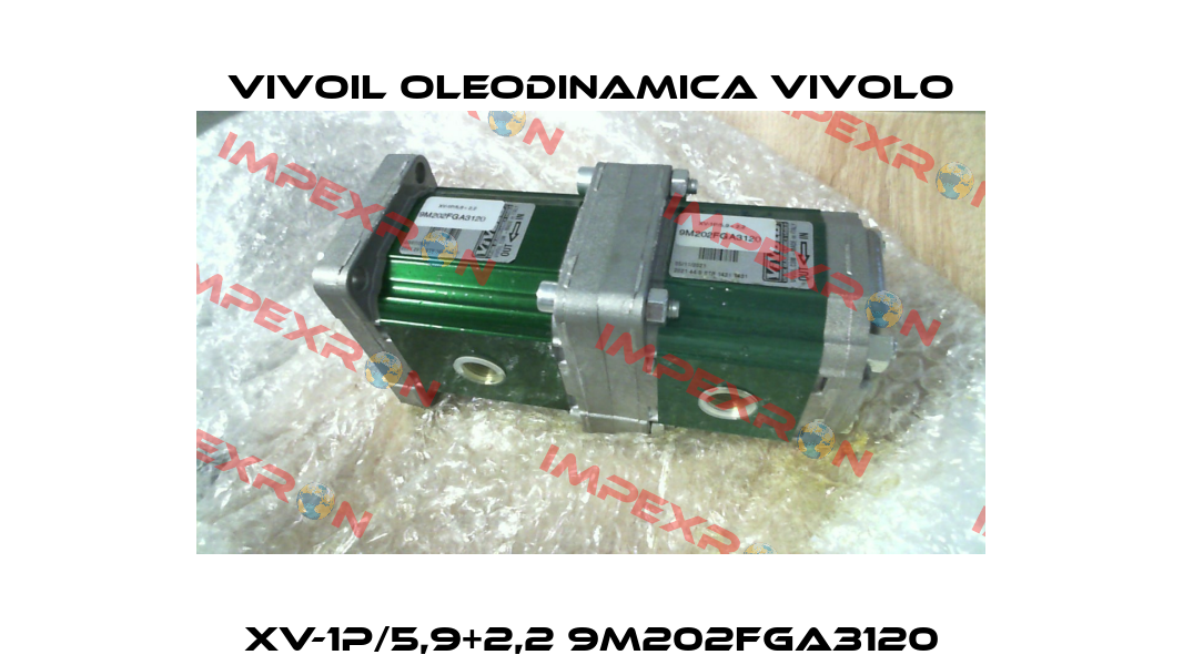 XV-1P/5,9+2,2 9M202FGA3120 Vivoil Oleodinamica Vivolo