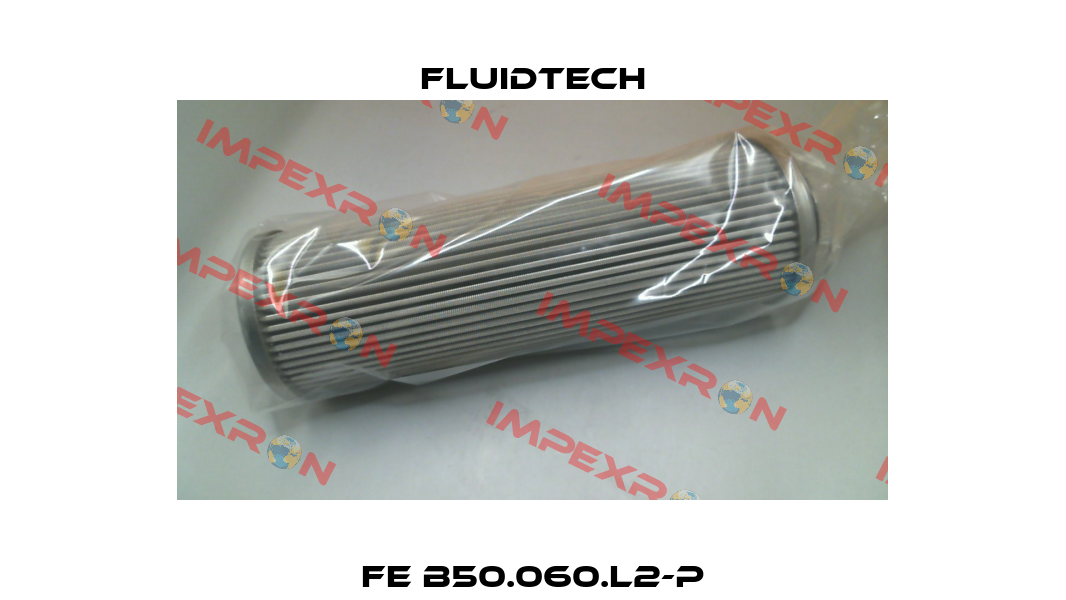 FE B50.060.L2-P Fluidtech
