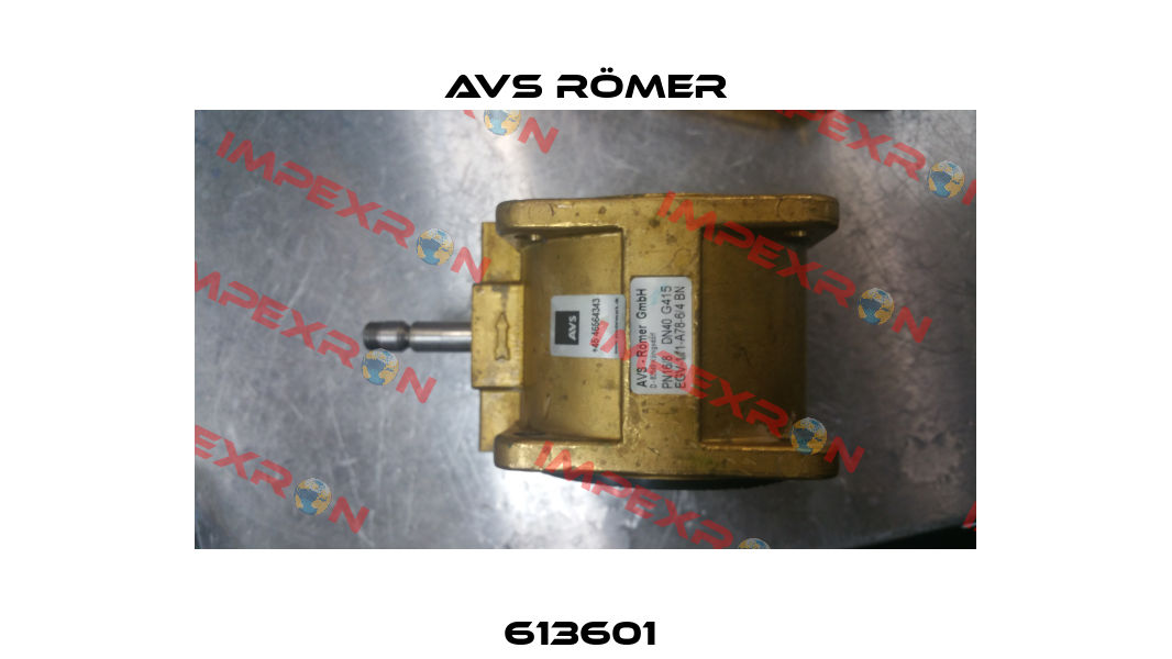 613601  Avs Römer