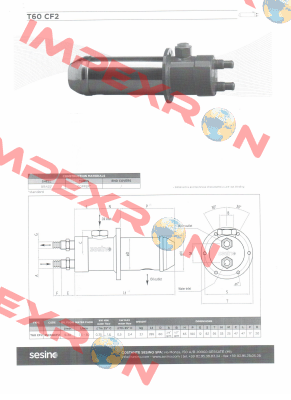 T60 C2 Sesino