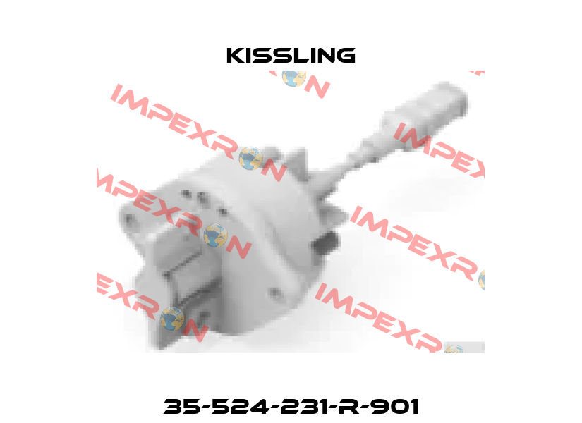 35-524-231-R-901 Kissling