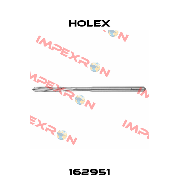 162951 Holex
