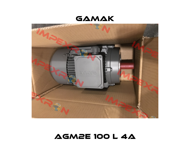 AGM2E 100 L 4a Gamak