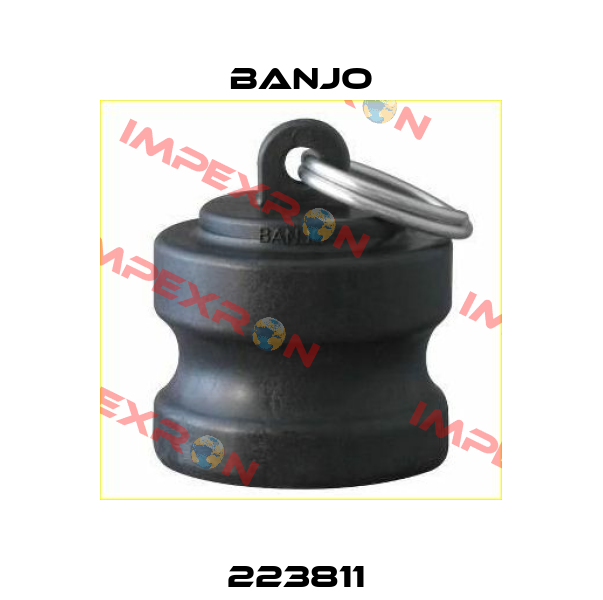 223811  Banjo
