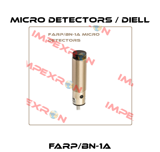 FARP/BN-1A Micro Detectors / Diell
