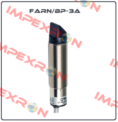 FARN/BP-3A Micro Detectors / Diell (now Datasensing)