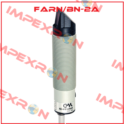 FARN/BN-2A Micro Detectors / Diell