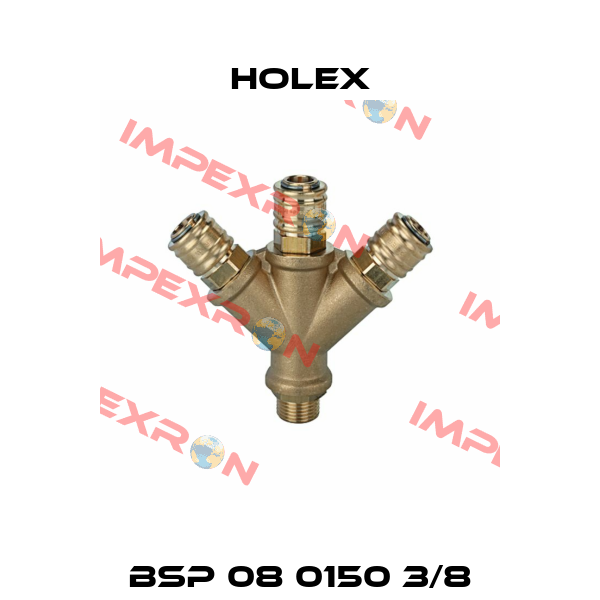 BSP 08 0150 3/8 Holex