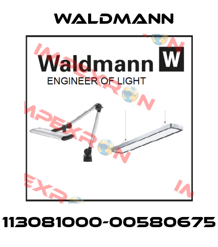 113081000-00580675 Waldmann