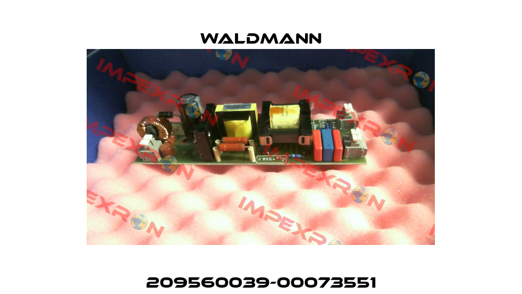209560039-00073551 Waldmann