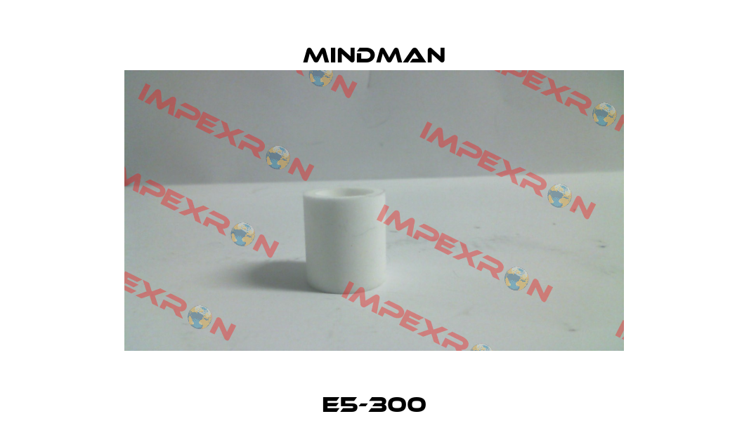 E5-300 Mindman