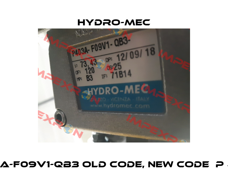P403AA-F09V1-QB3 old code, new code  P 413A -F Hydro-Mec