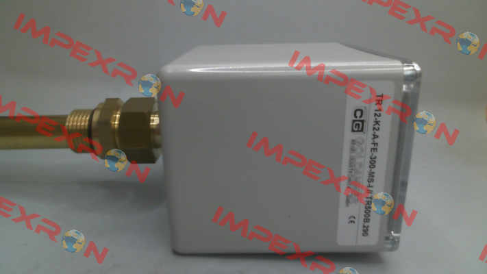 TR 12-K2-A-FE-300-MS-I Goldammer
