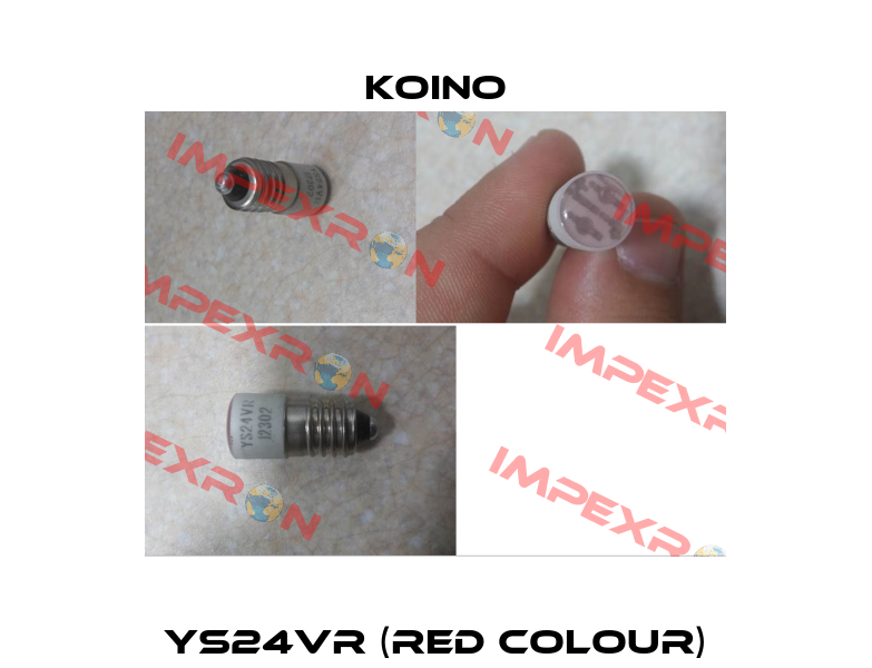 YS24VR (RED COLOUR) Koino
