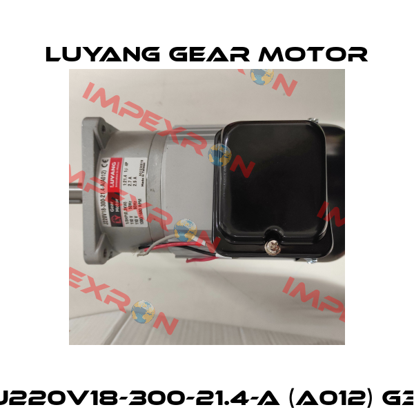 J220V18-300-21.4-A (A012) G3 Luyang Gear Motor