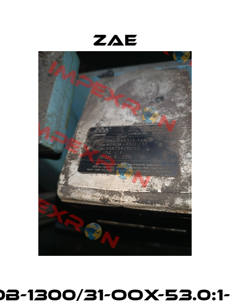 M040B-1300/31-OOX-53.0:1-3000 Zae