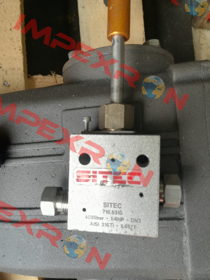 710.5310 / c SITEC