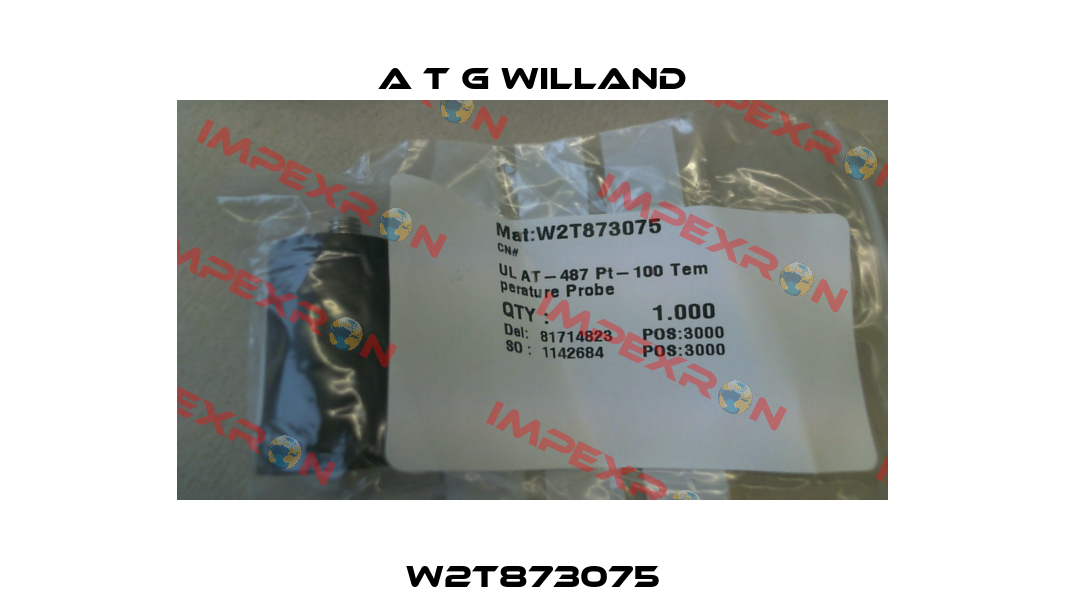 W2T873075 A T G Willand