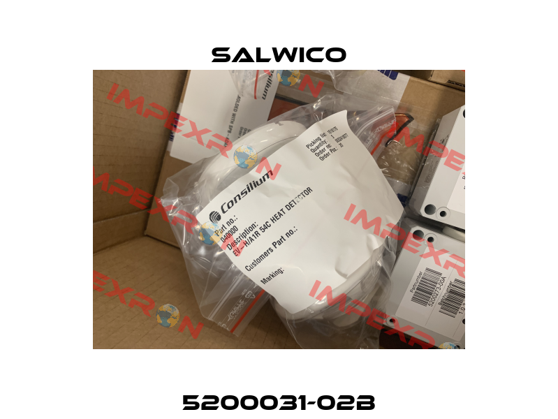 5200031-02B Salwico