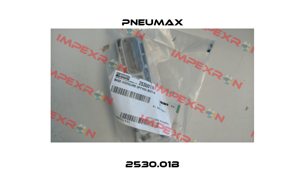 2530.01B Pneumax