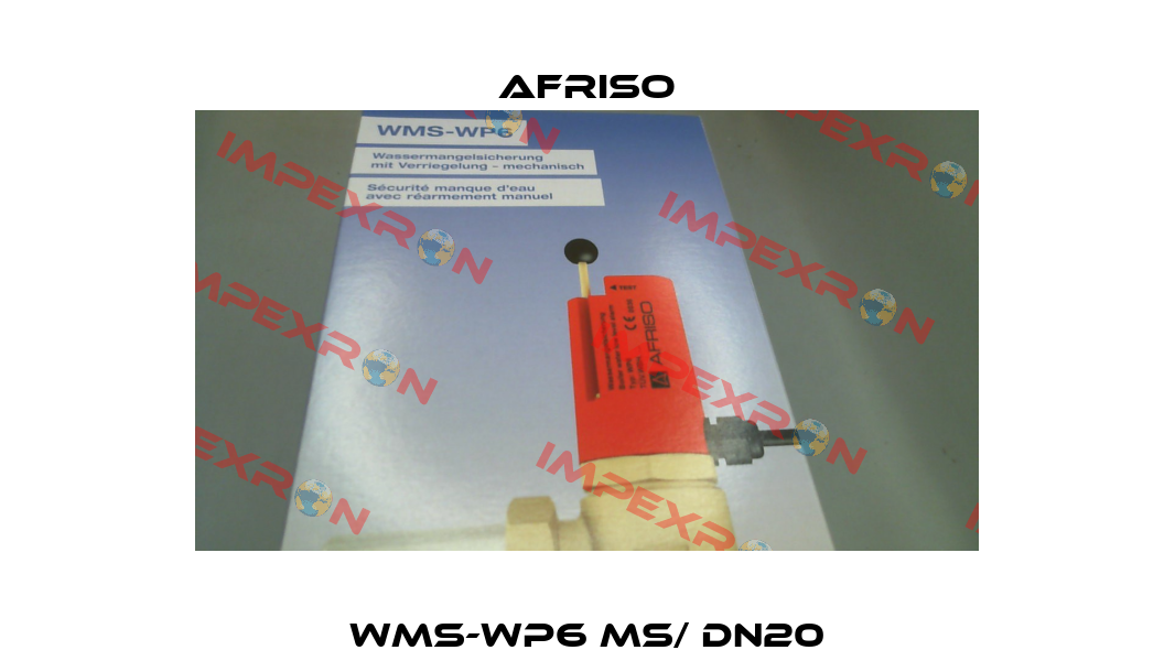 WMS-WP6 MS/ DN20 Afriso
