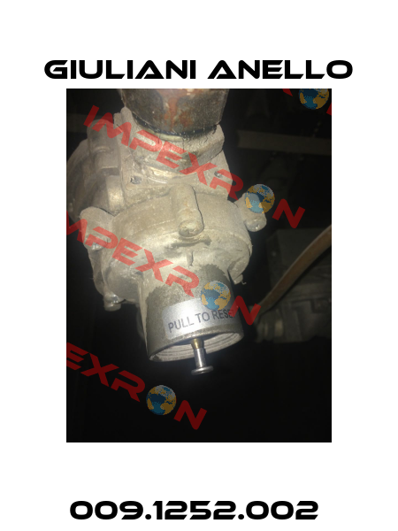 009.1252.002  Giuliani Anello