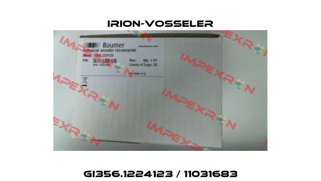 GI356.1224123 / 11031683 Irion-Vosseler