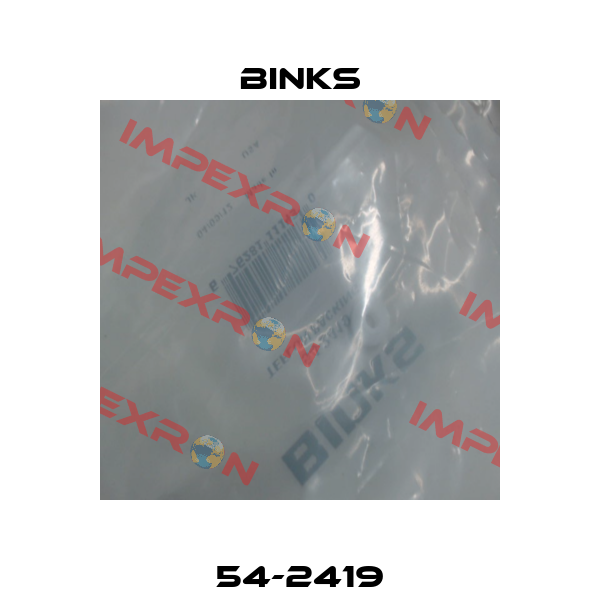 54-2419 Binks