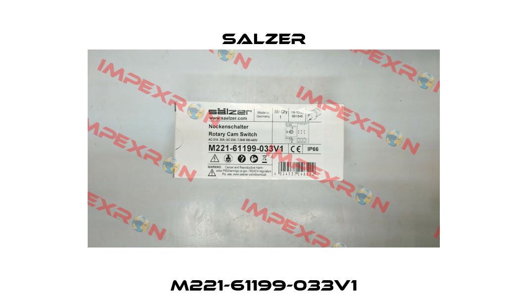 M221-61199-033V1 Salzer